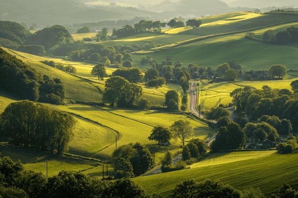 Afbeelding van het Limburgse heuvellandschap.