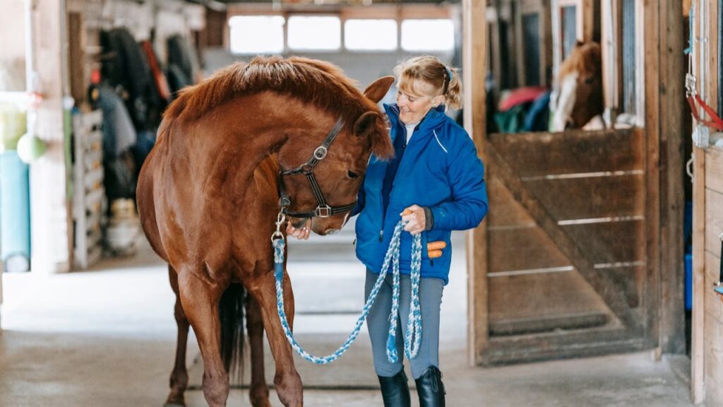 Alternatieve vormen van therapie, paardentherapie